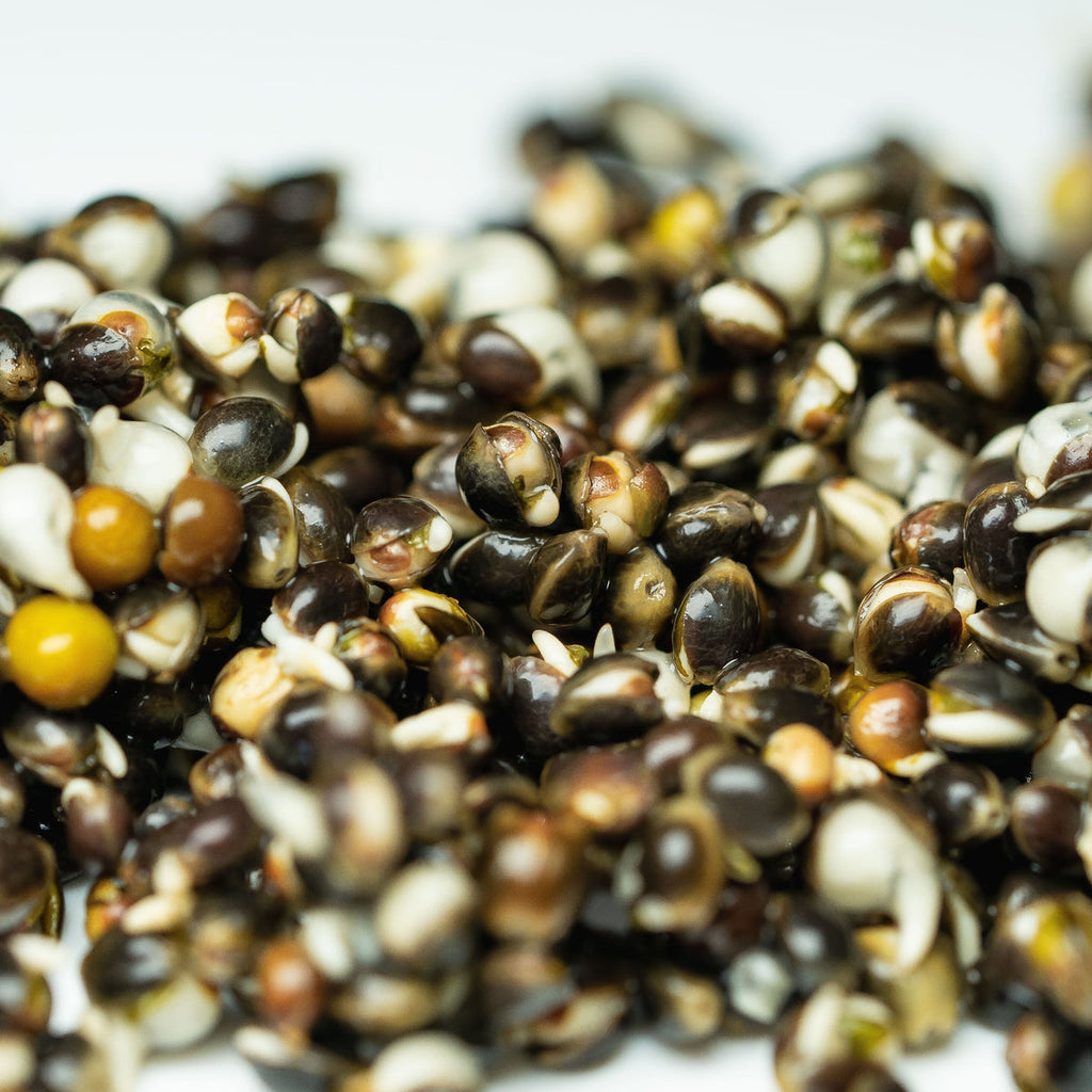 Hinders Chinese Hemp (Medium Grain)